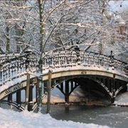 Amsterdam Bridge Snow