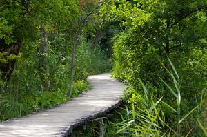 Beam Bridge - The Footbridge