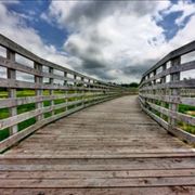 Wide Angle Bridge